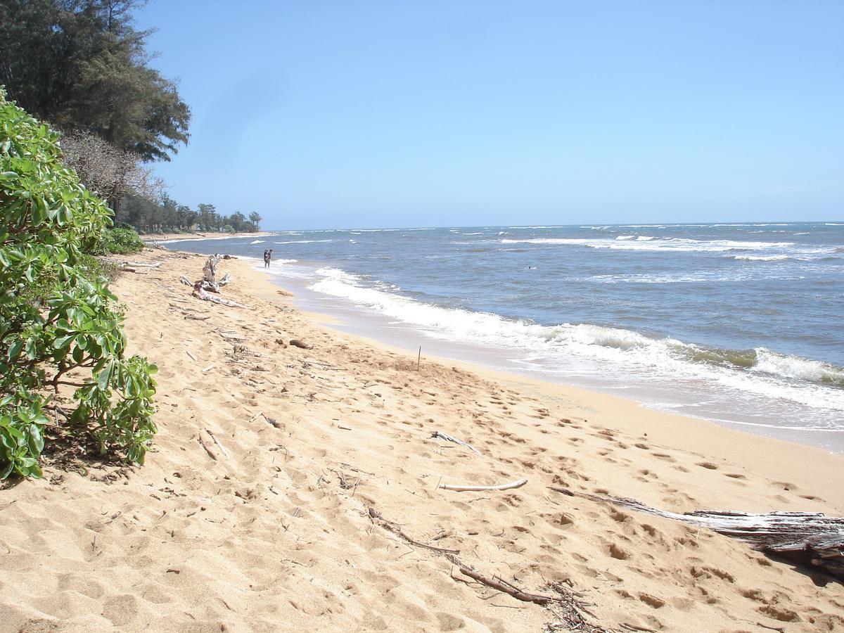 Islander On The Beach Unit 244 Kapa'a Exterior photo