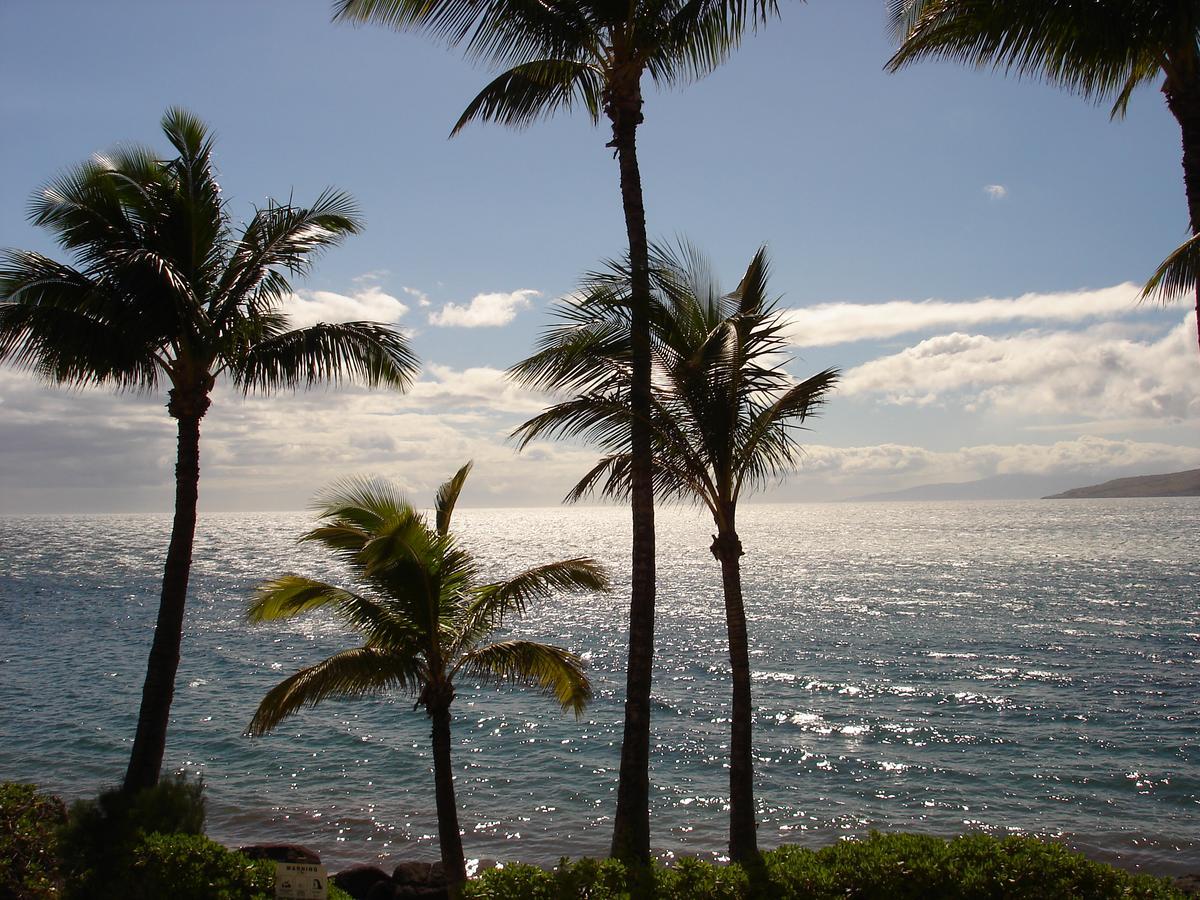 Islander On The Beach Unit 244 Kapa'a Exterior photo
